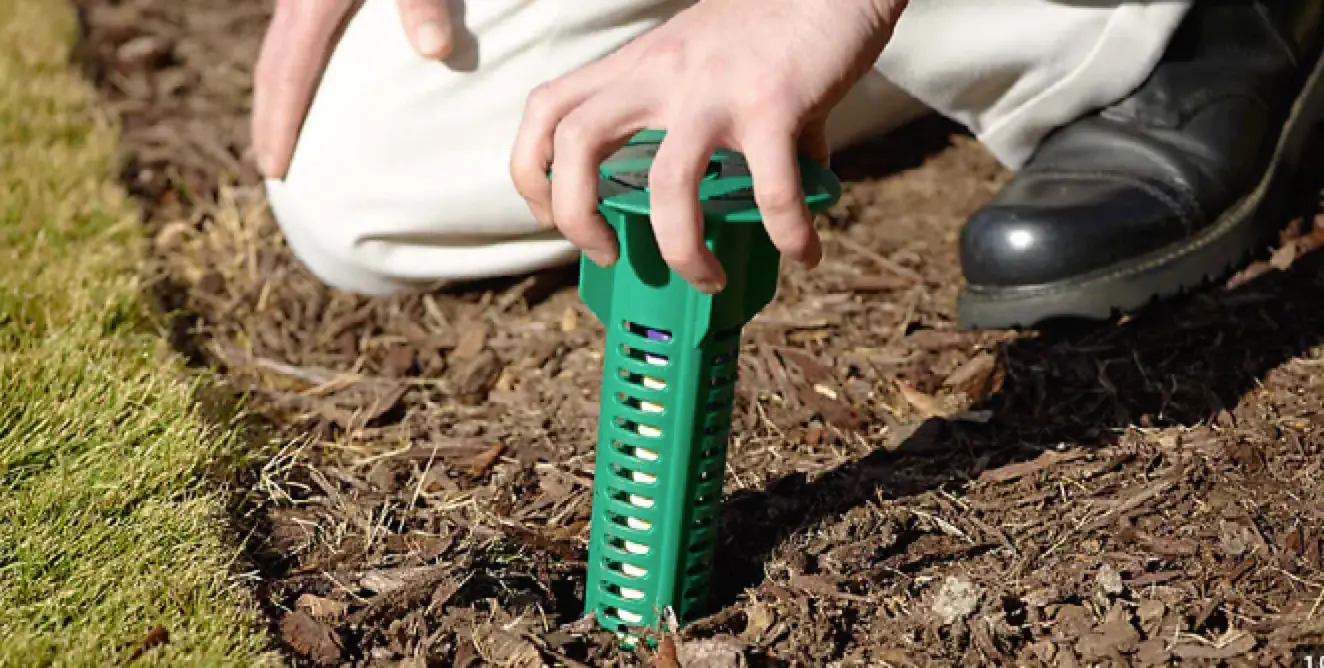 termite bait station termite treatment