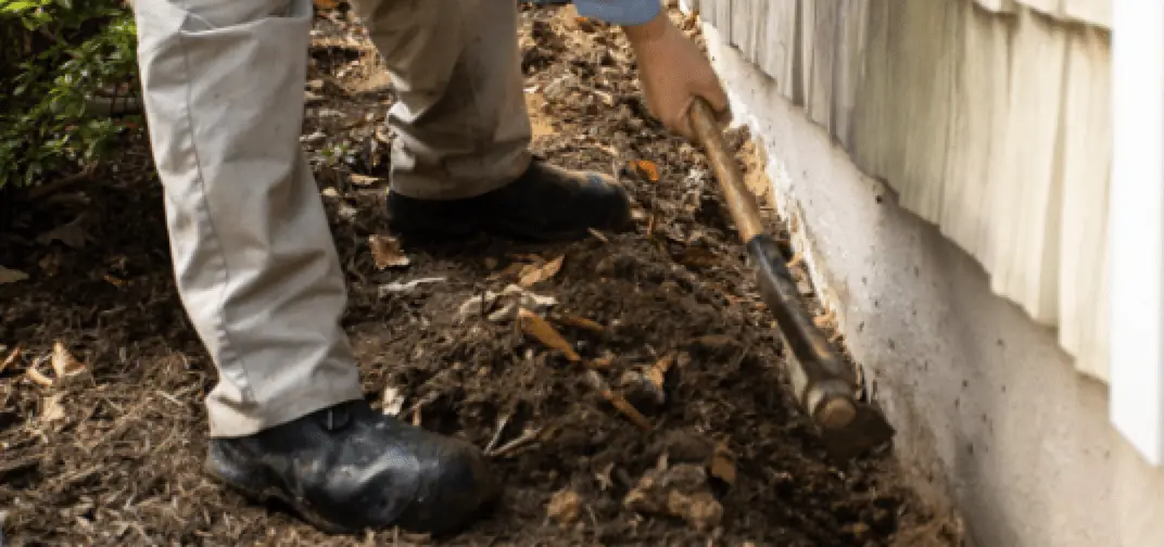 termite trenching near me